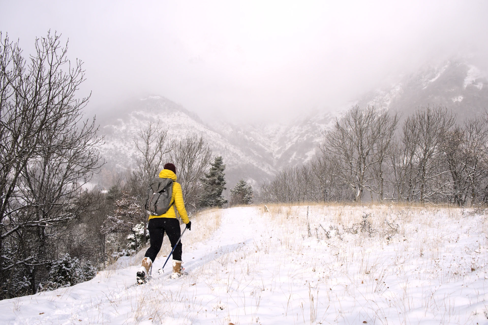 lumikenkäilyn johdantokurssi