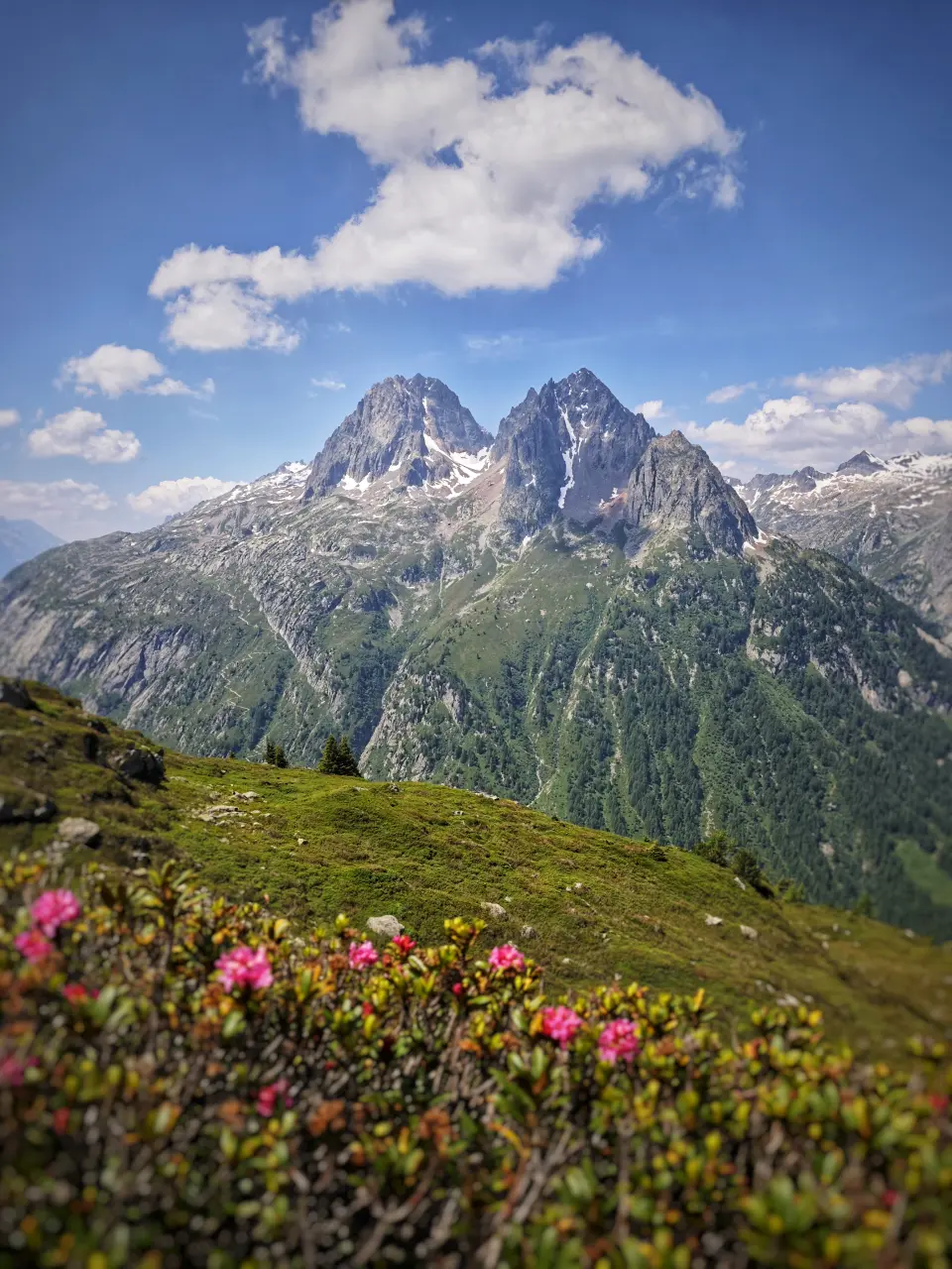 Les Aiguilles Rouges depuis le TMB