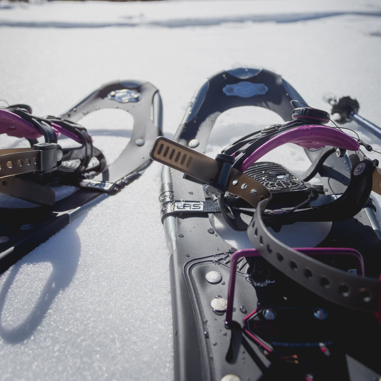 Lumikenkien vuokraus