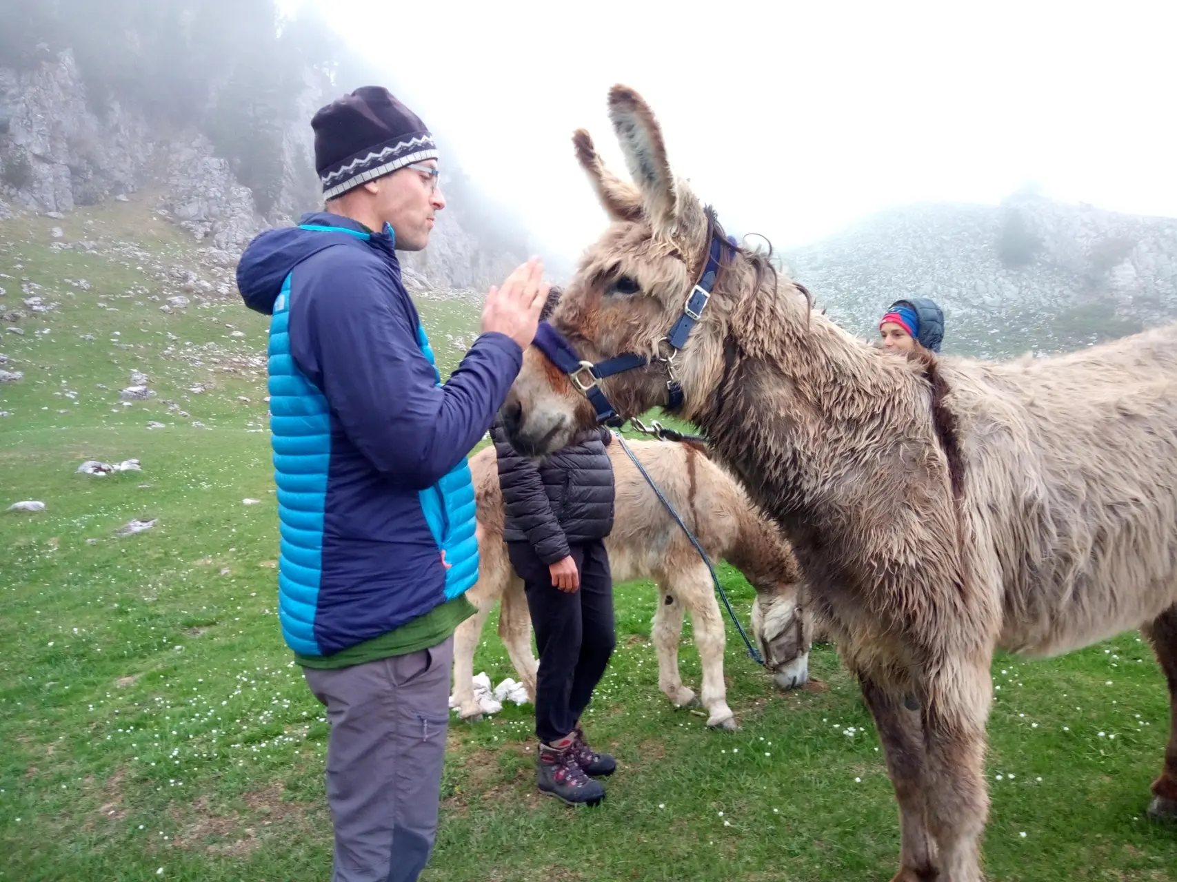 Family hike with donkeys - Vercors High Plateaus - Young Dad