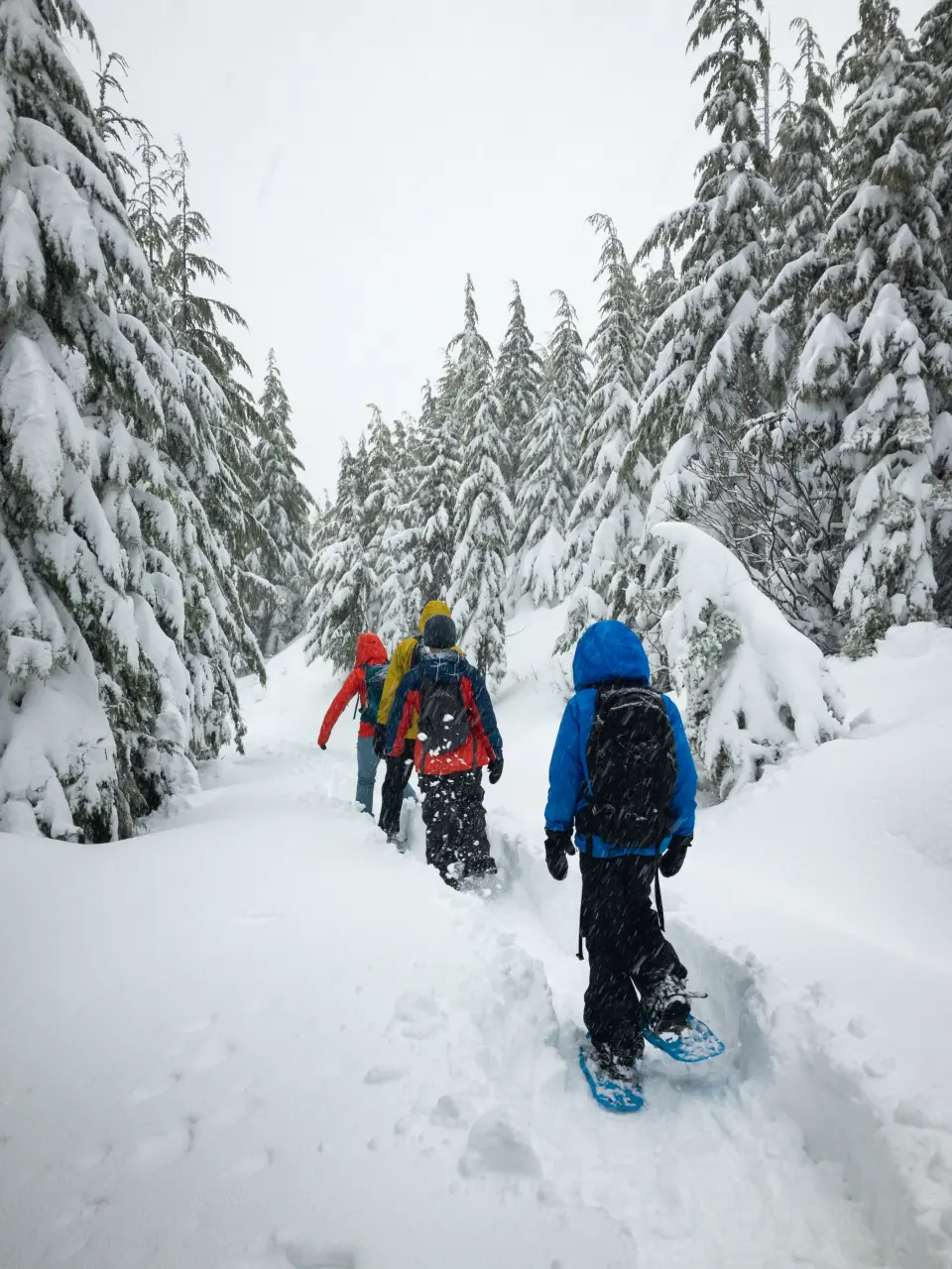 Snowshoeing with children